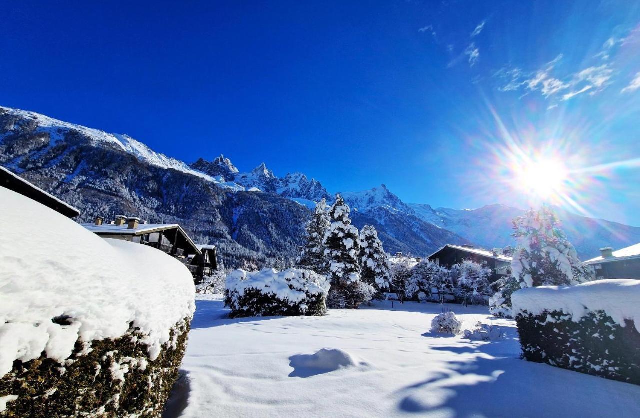Chamonix Appartement Vue Mont Blanc Avec Jardin Eksteriør bilde
